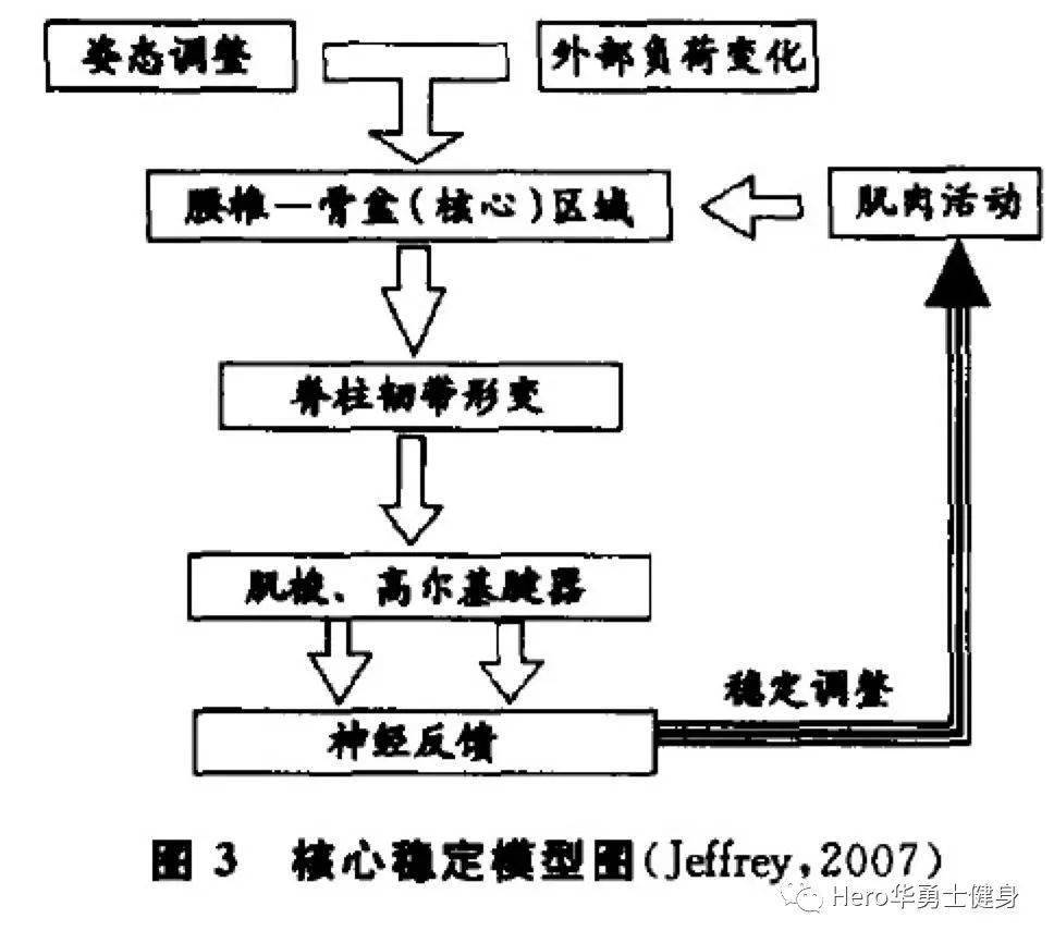 體育與體育科學的區(qū)別和聯(lián)系,體育與體育科學的區(qū)別和聯(lián)系，從定義到實踐經(jīng)驗解析,數(shù)據(jù)解析支持設計_十三行75.45.13