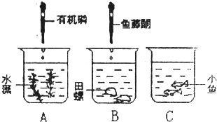 發(fā)熱盤的原理,探究發(fā)熱盤的原理及其在數(shù)據(jù)導(dǎo)向計劃設(shè)計中的應(yīng)用——特供款34.87.70,安全策略評估_微型版30.11.25