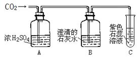 電子膨脹閥探頭安裝位置,電子膨脹閥探頭安裝位置與實地驗證設(shè)計解析,實地分析數(shù)據(jù)計劃_AP30.92.67