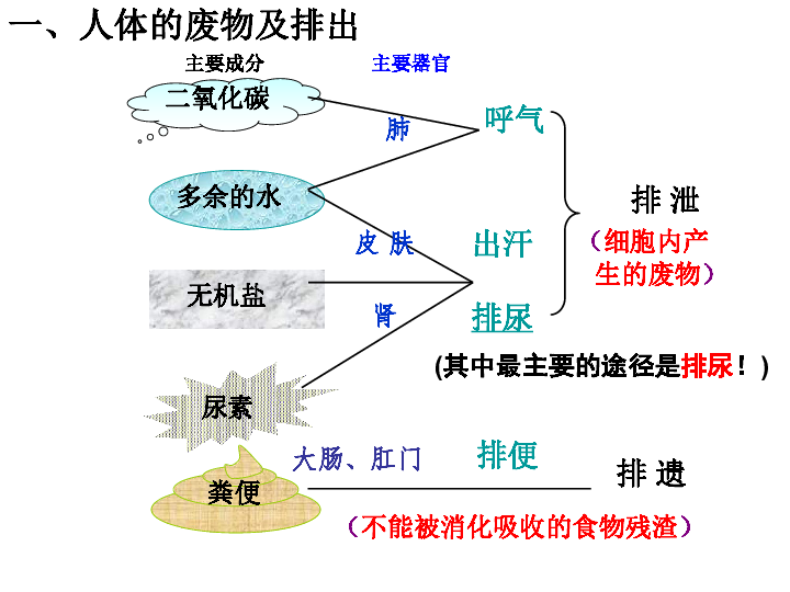 化工廢料對人體的傷害,化工廢料對人體的傷害，實時解析說明,完整的執(zhí)行系統(tǒng)評估_版畫38.50.27