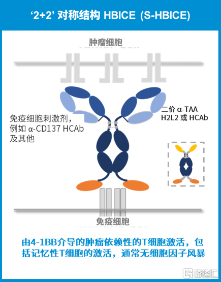 新澳2025今晚開獎資料,新澳2025未來開獎數(shù)據(jù)分析與精選解析手冊,創(chuàng)新解析執(zhí)行_HarmonyOS46.48.91