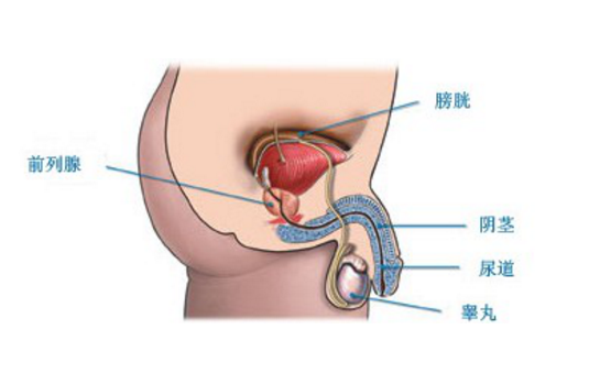 前列腺炎費(fèi)用多少,前列腺炎費(fèi)用多少？系統(tǒng)研究解釋定義及專(zhuān)業(yè)分析,最新分析解釋定義_Device82.50.63