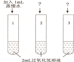 2025年1月3日 第49頁(yè)