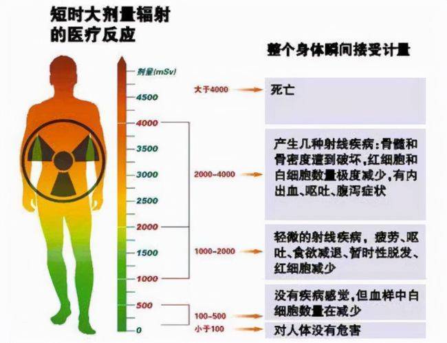 鉛衣是啥,鉛衣是什么？全面解析數(shù)據(jù)設(shè)計(jì)背后的故事,實(shí)地考察數(shù)據(jù)設(shè)計(jì)_set47.77.43