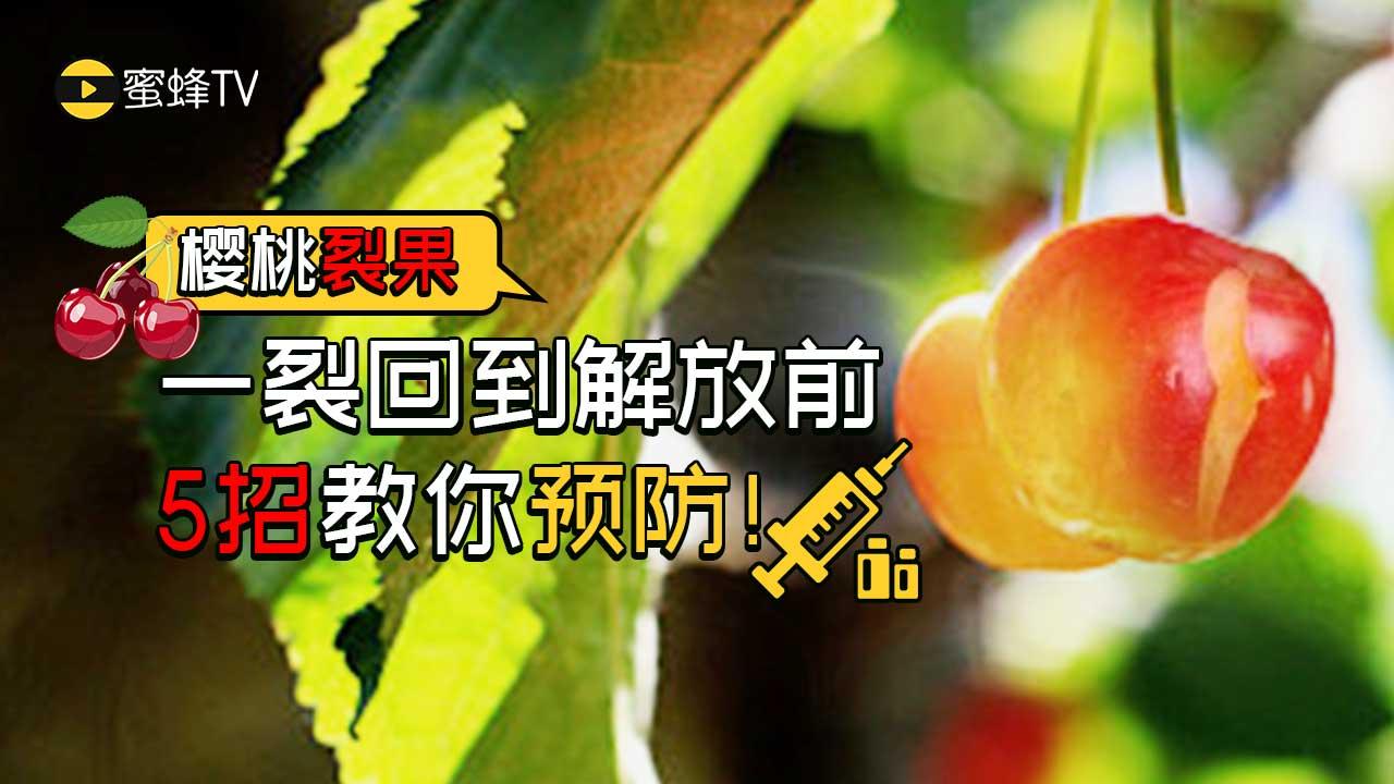 渤船集團(tuán)官網(wǎng),渤船集團(tuán)官網(wǎng)優(yōu)選方案解析說明,創(chuàng)新設(shè)計計劃_桌面款49.18.34